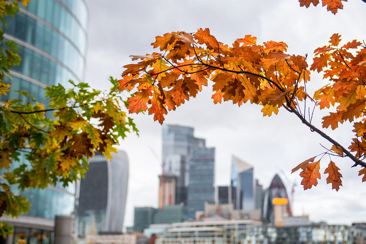 Autumn City