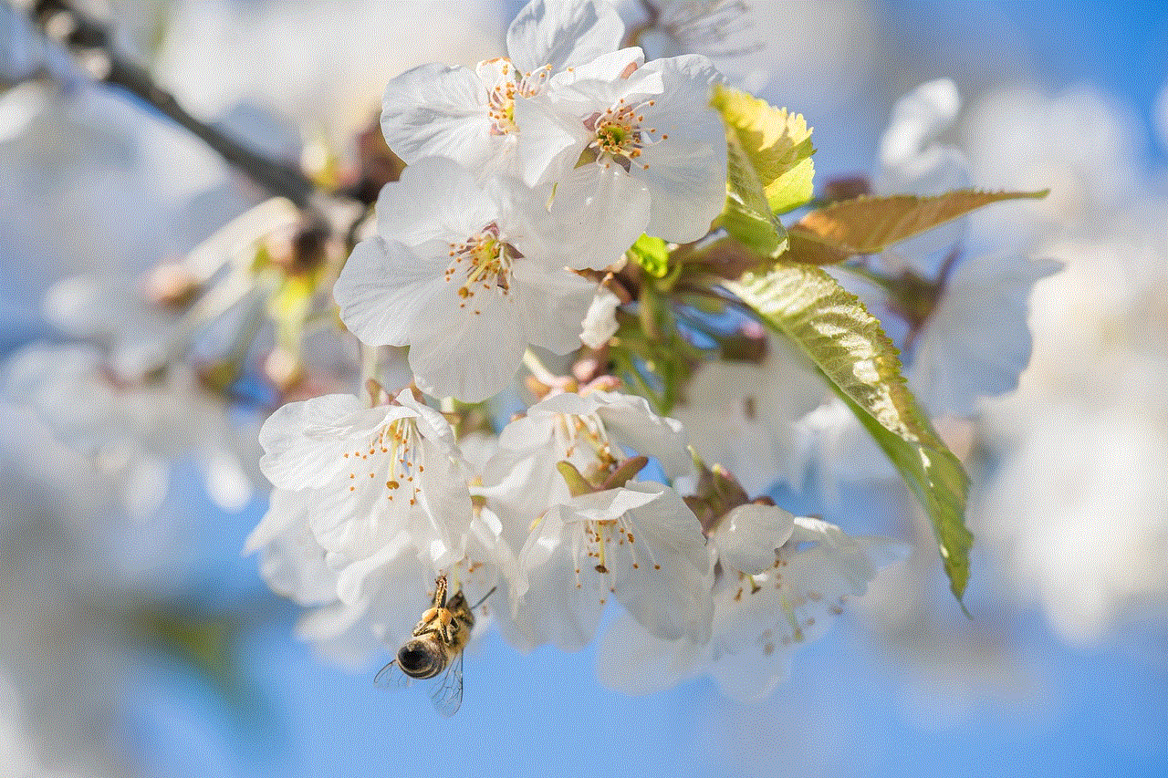 Bee Flower