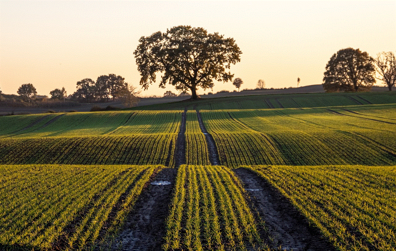 Field Tree Field Tree