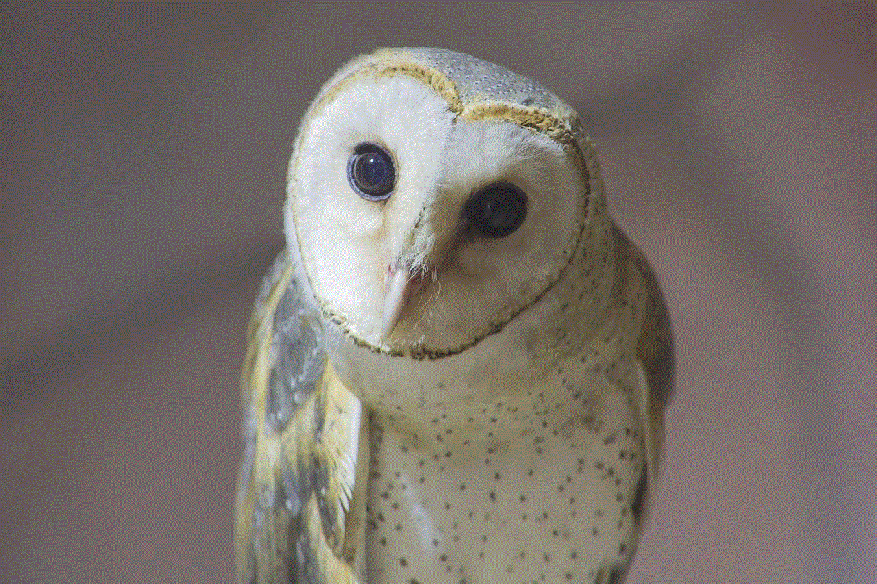 Owl Khmer Owl
