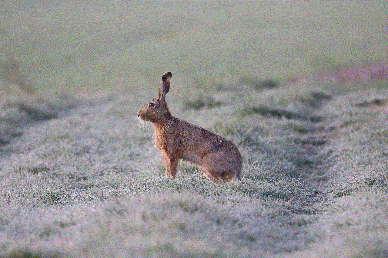 Hare Animal