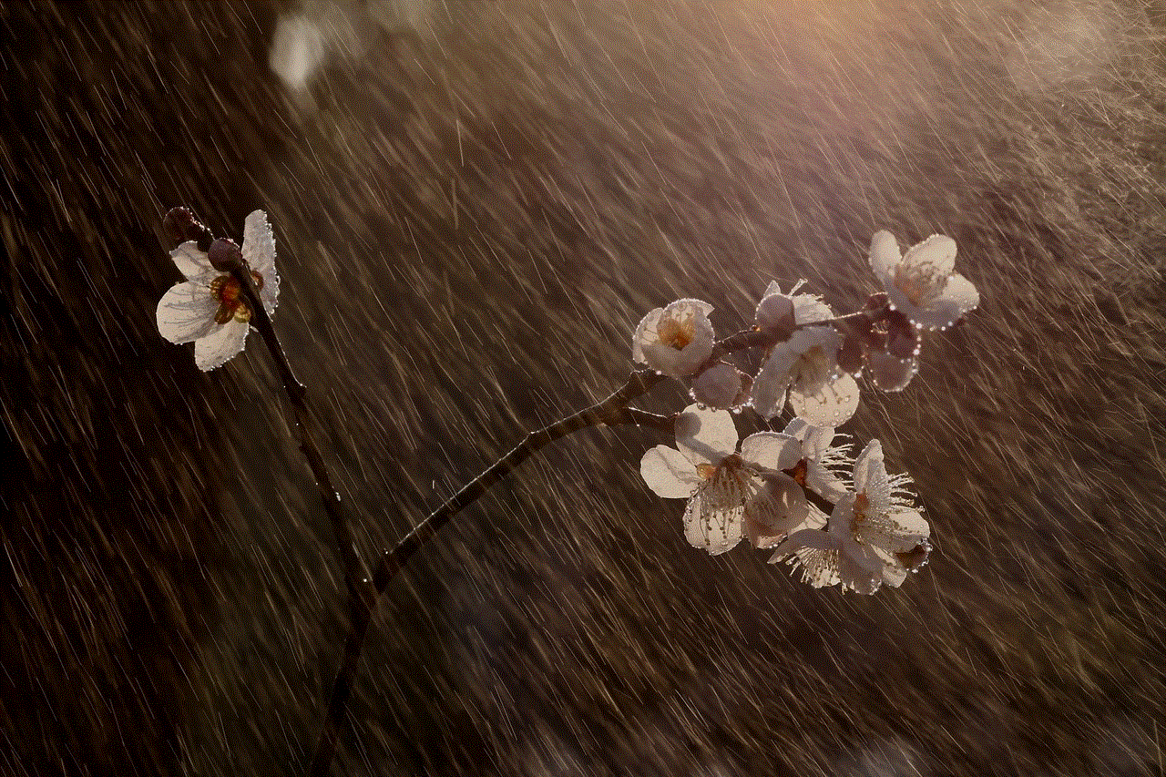 Plum Flowers