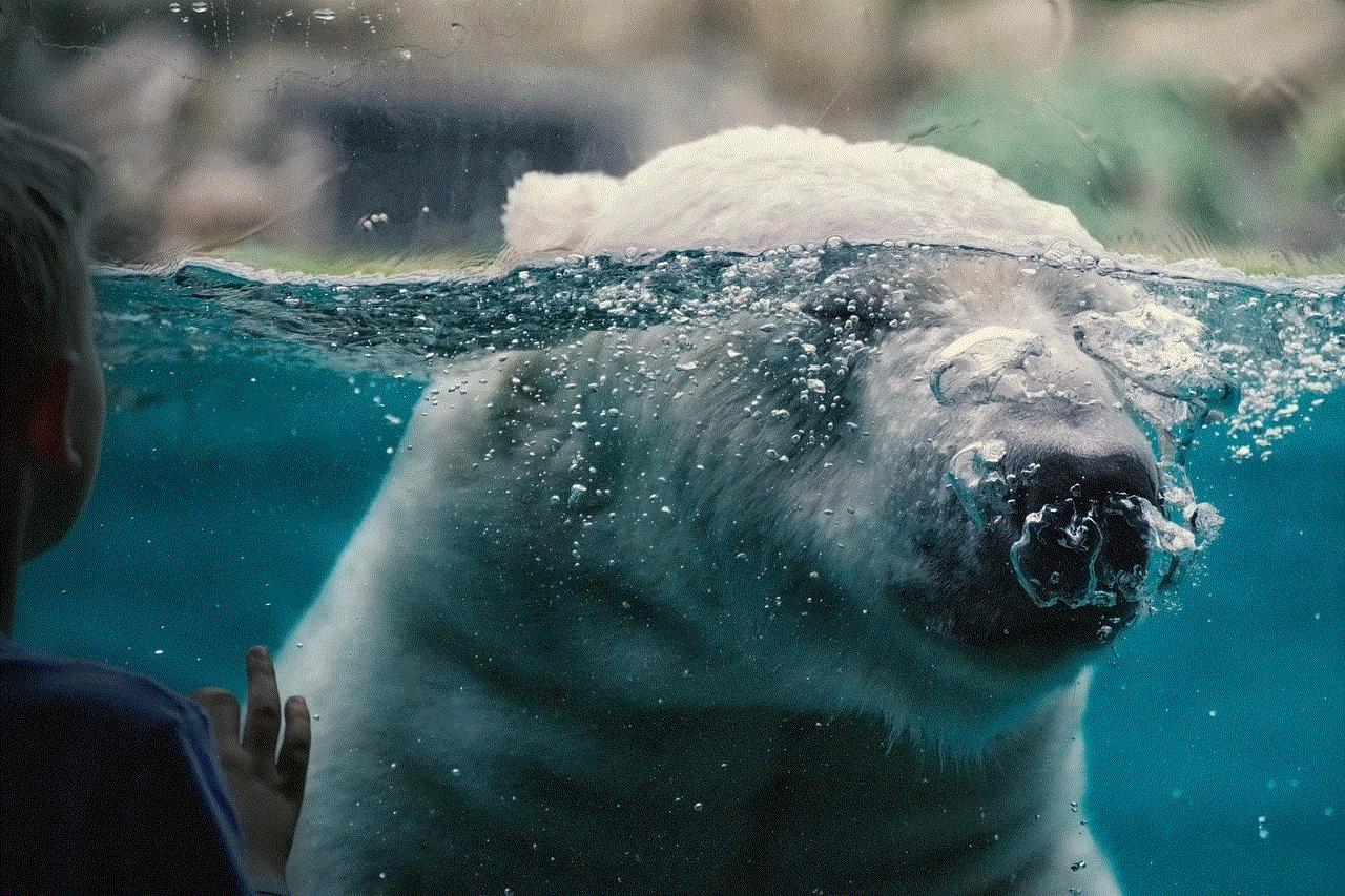 Polar Bear Zoo
