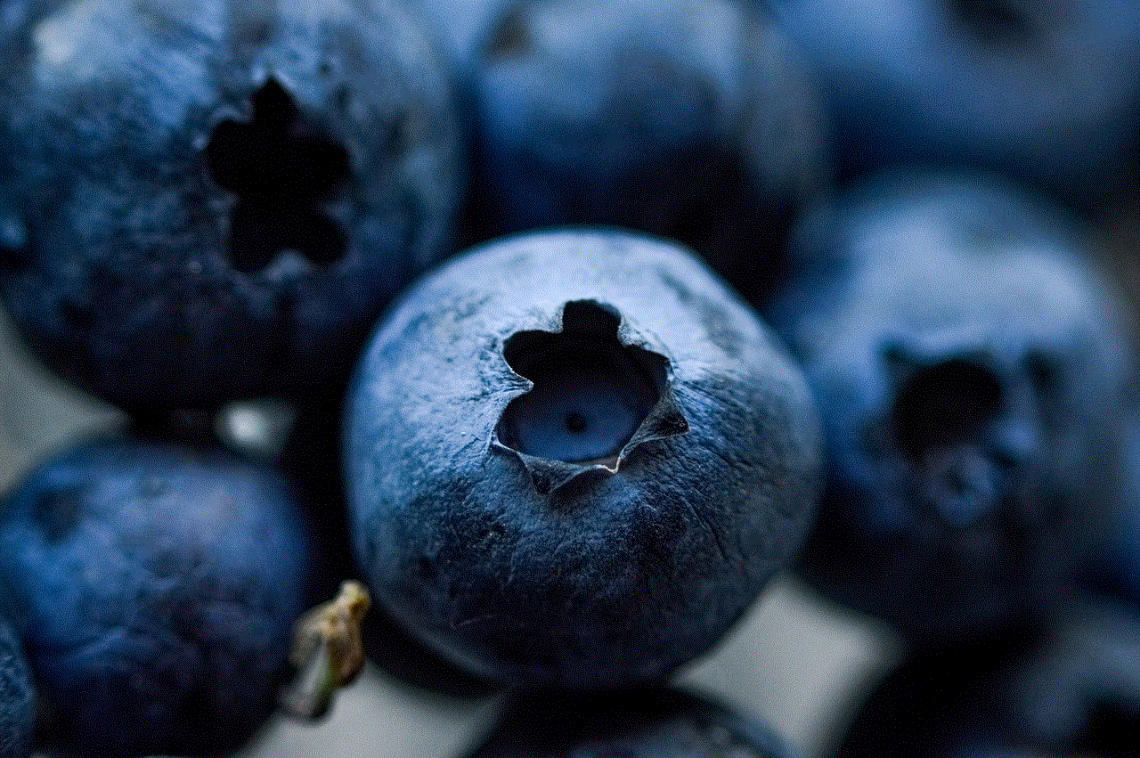 Blueberries Berry Blueberries Berry