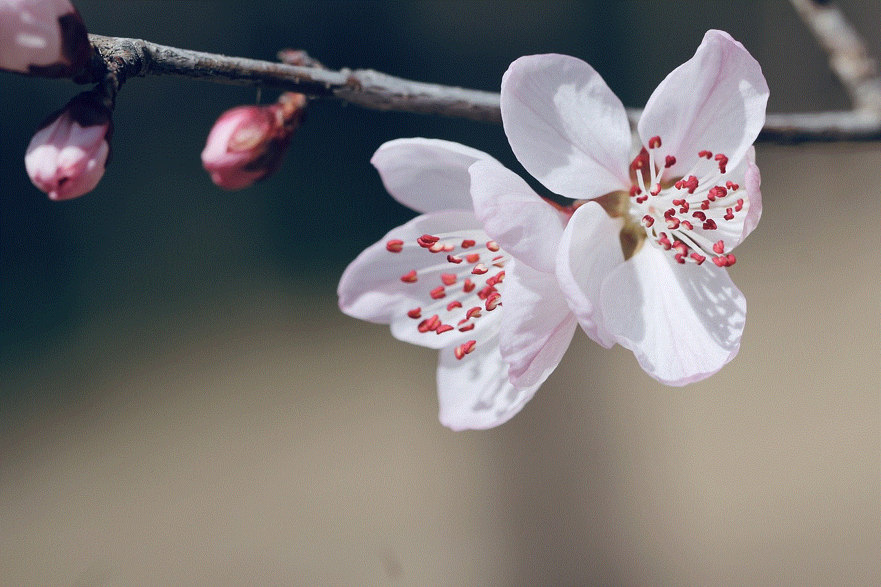Peach Blossom Desktop Wallpaper