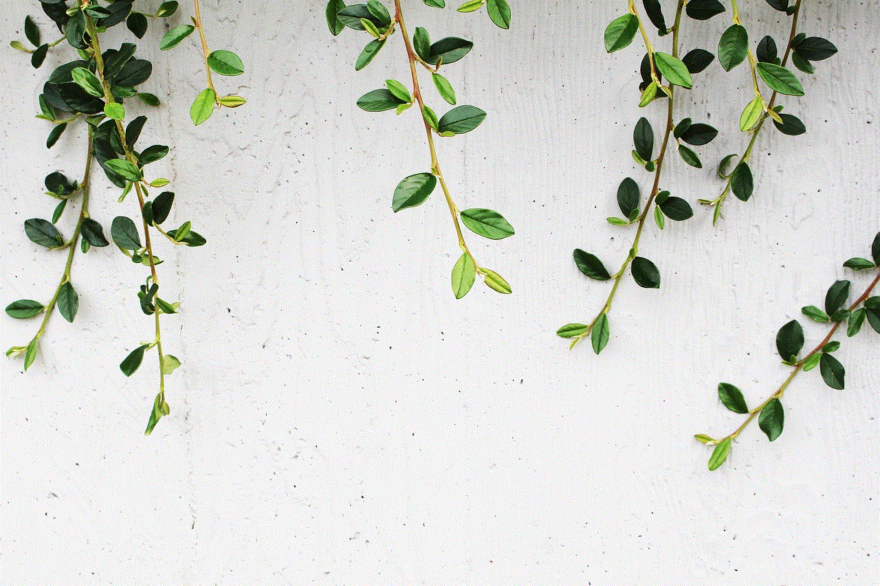 Leaves Wallpaper Hd