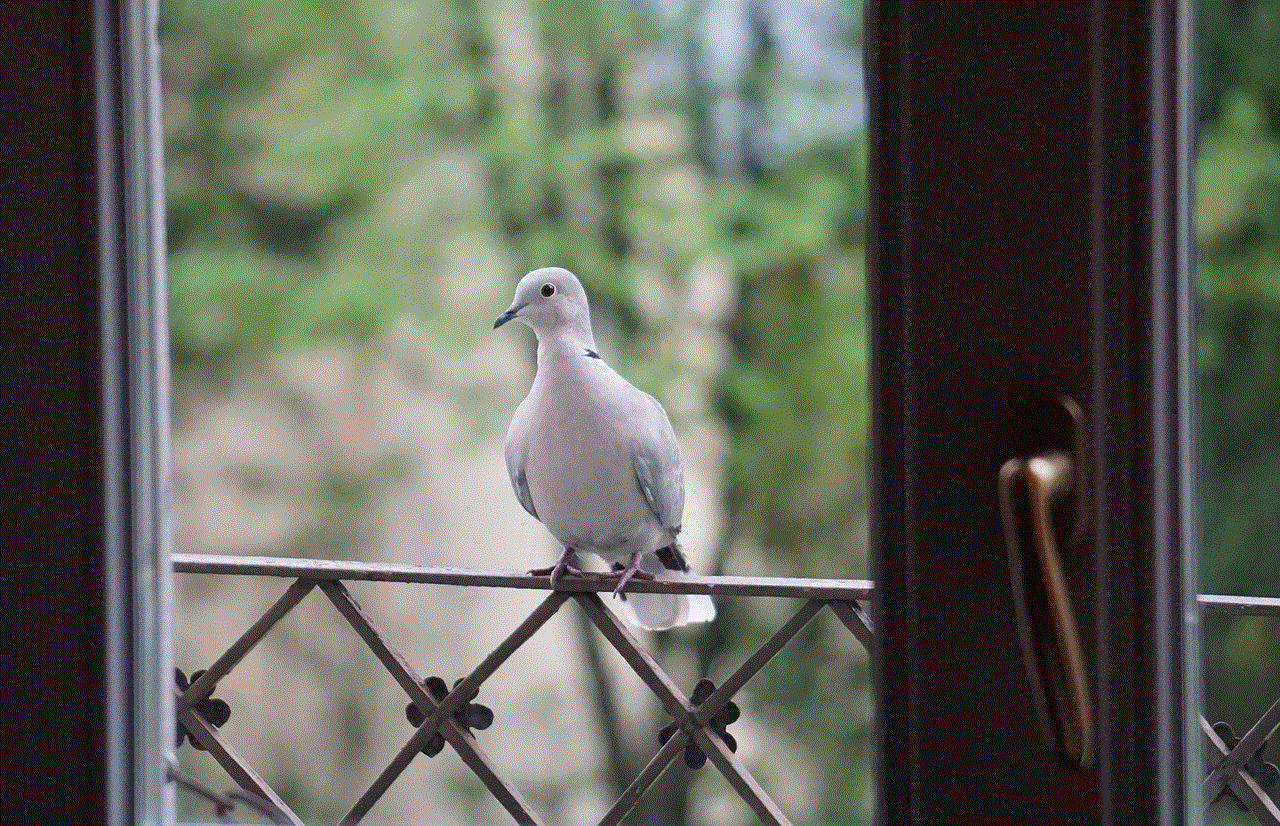 Bird Dove