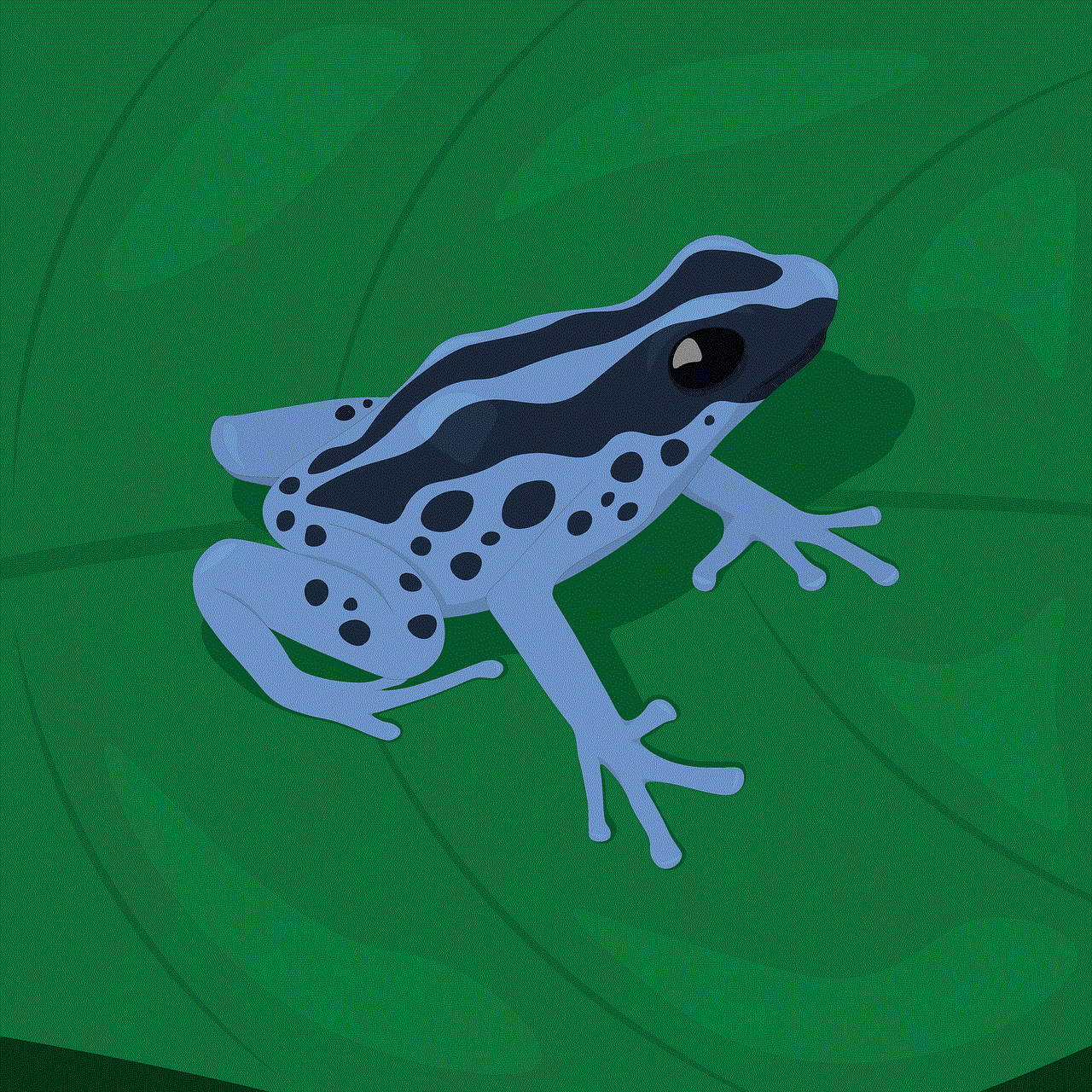 Frog Animal Frog Animal