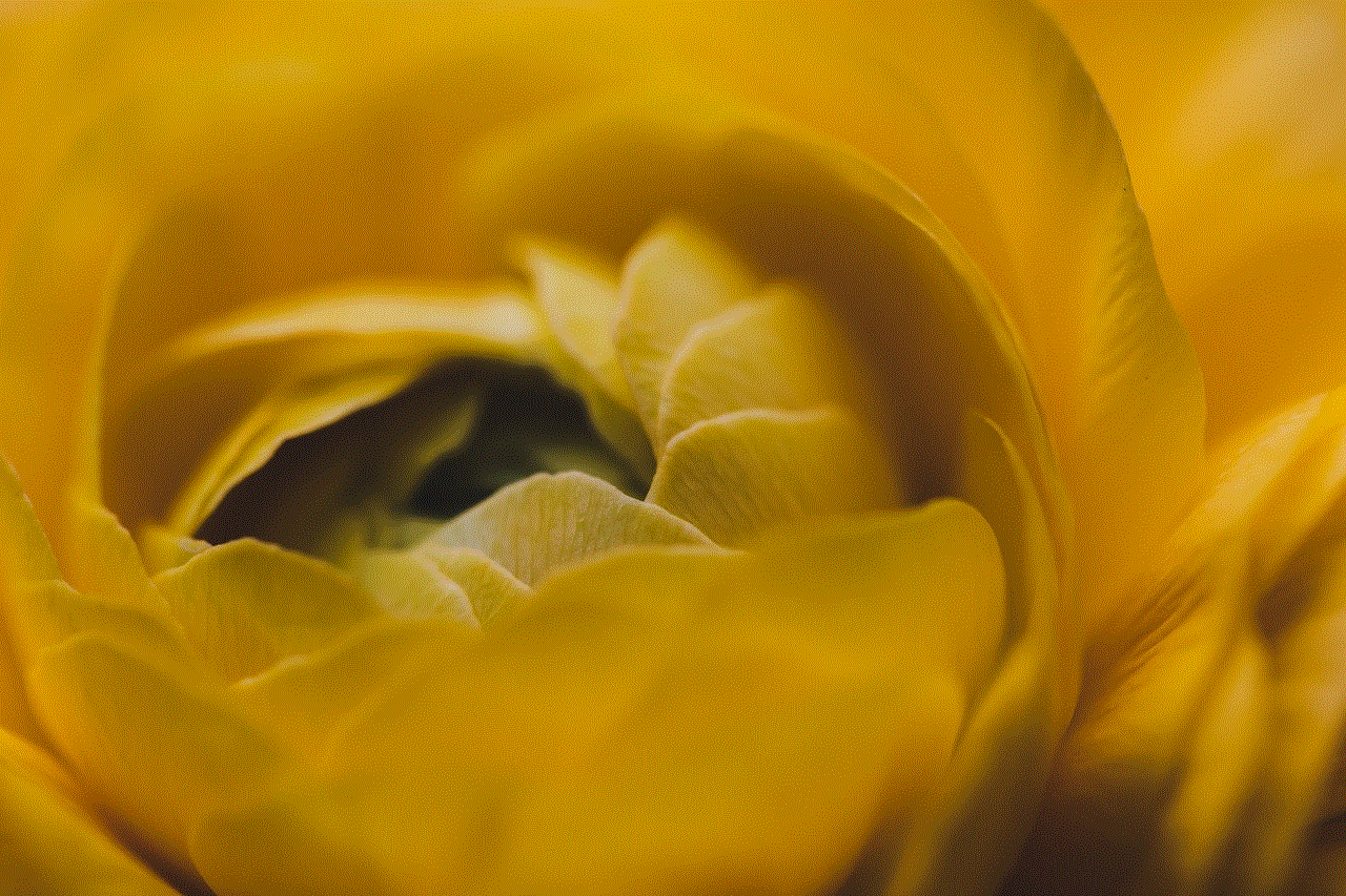 Flower Beautiful Flowers Flower Beautiful Flowers
