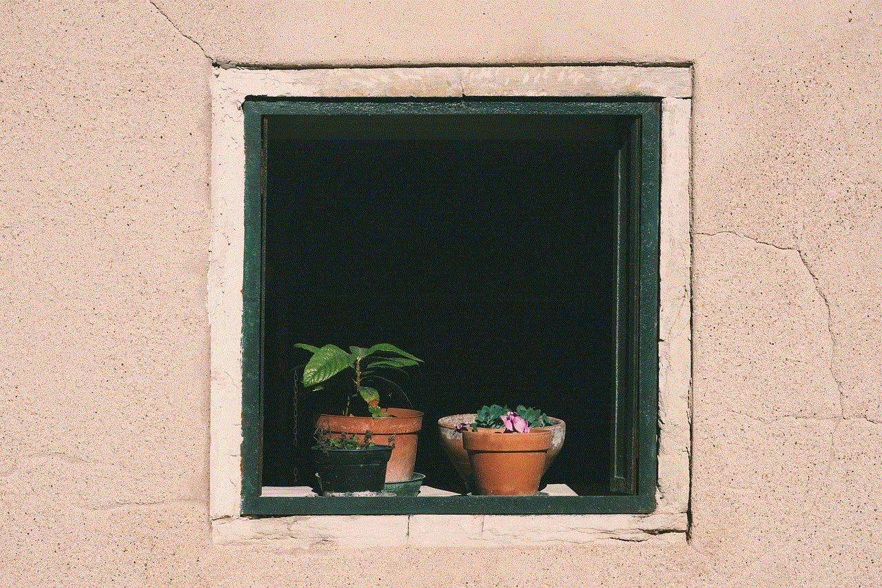 Window Flower Pots