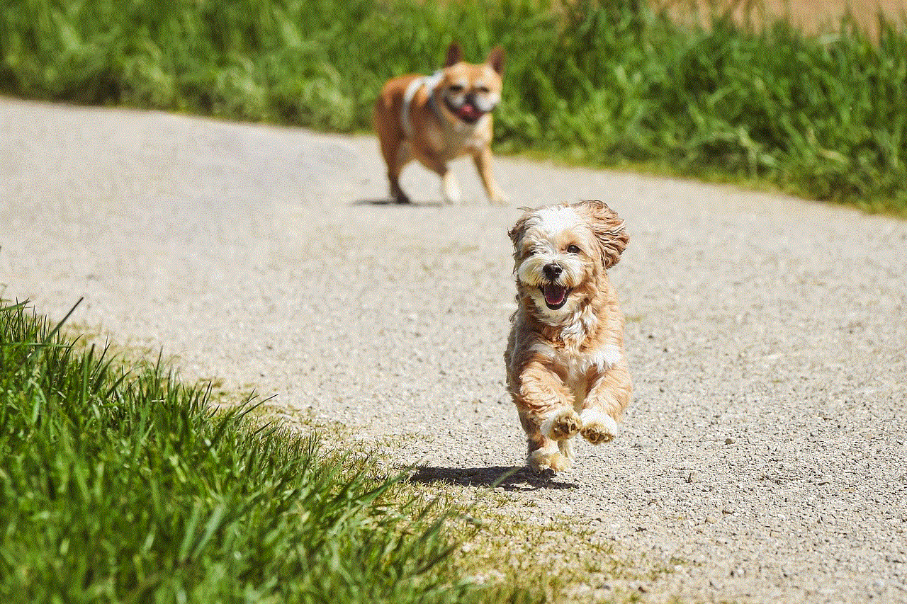 Dogs Running