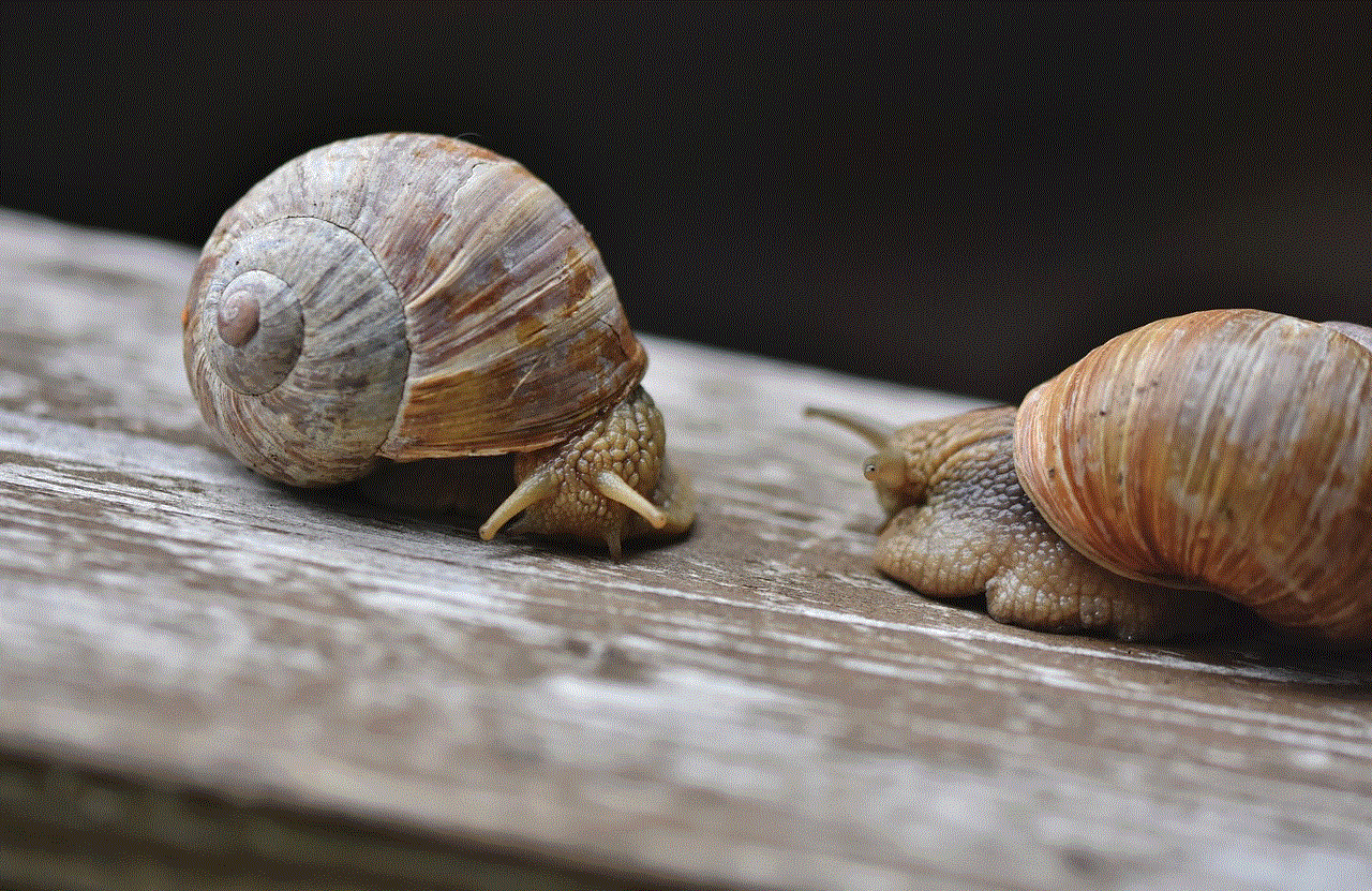 Snail Snails