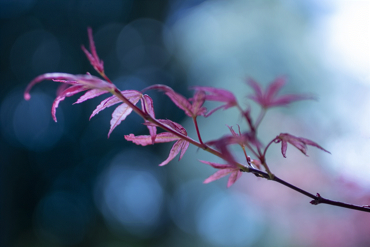 Leaves Tree Leaves Tree