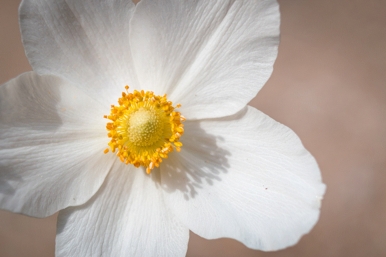 Snowdrop Anemone Flower