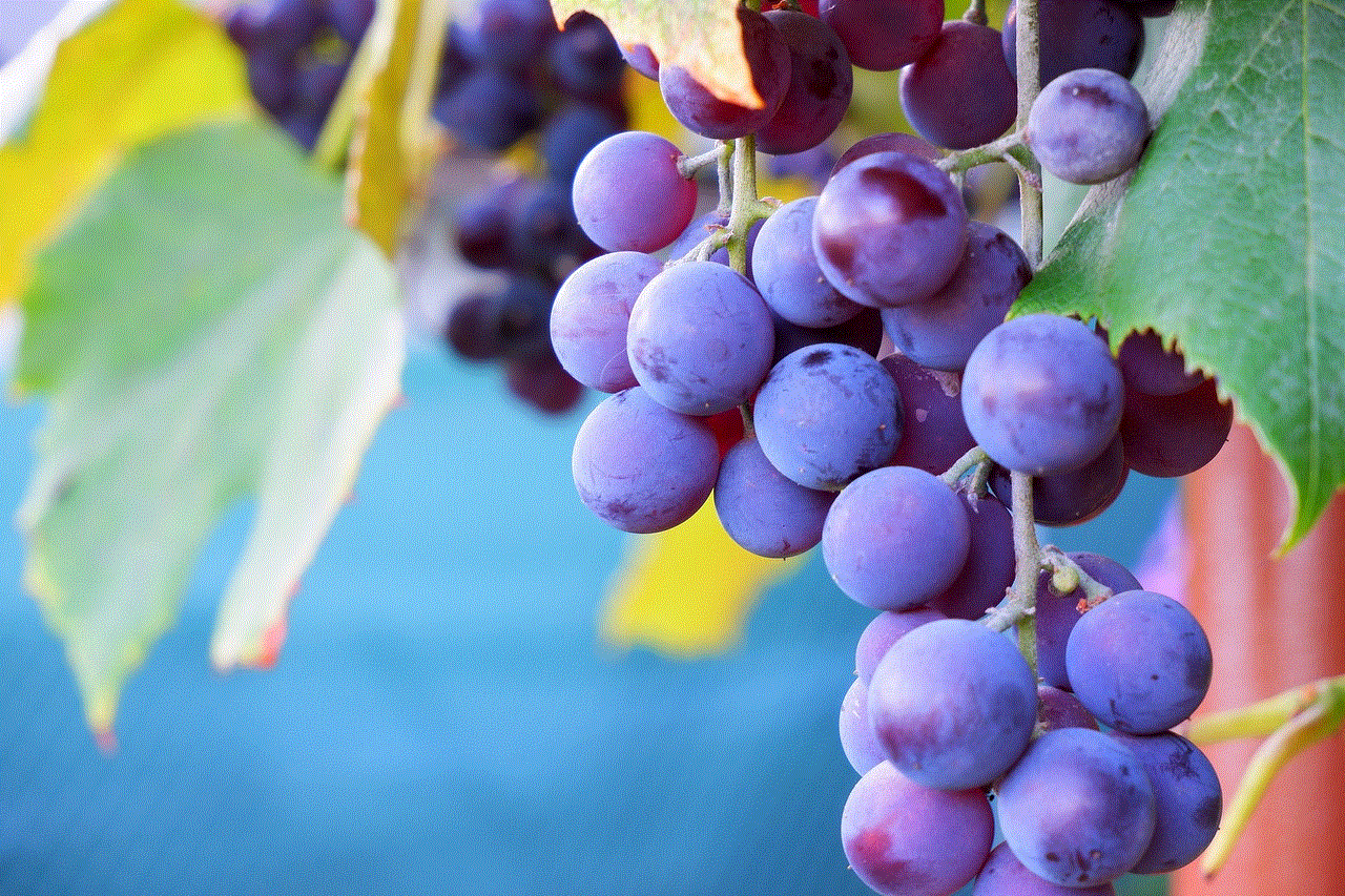 Grapes Nature