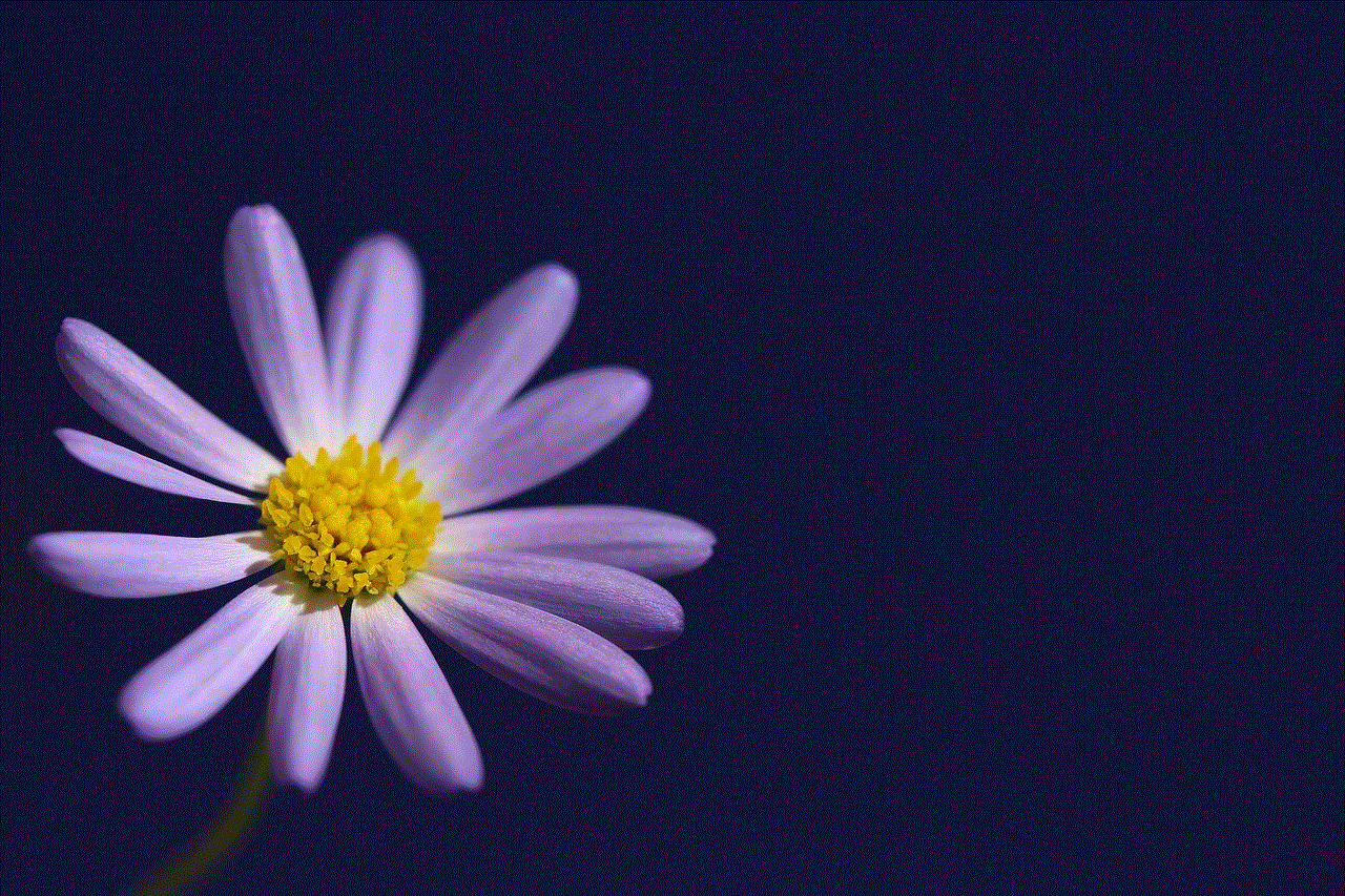 Flower Daisy