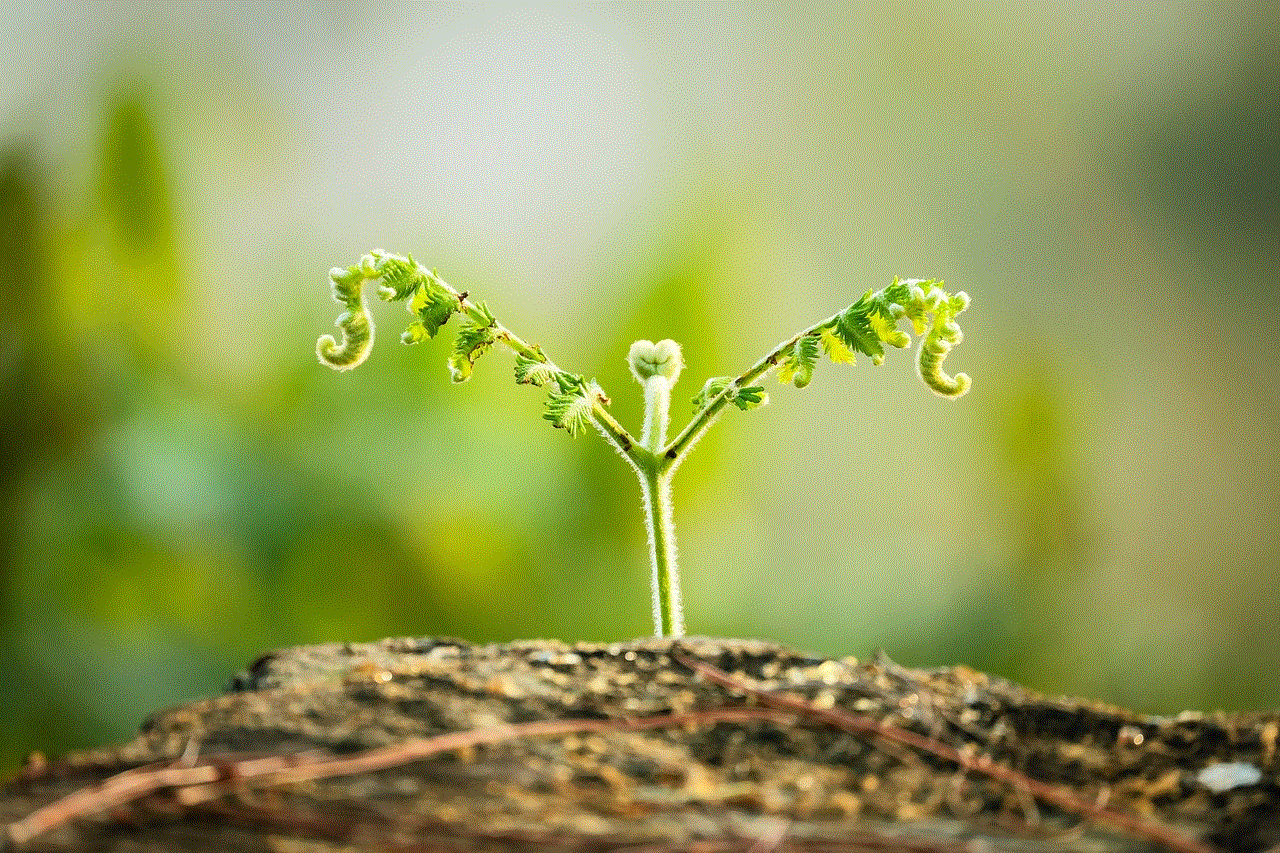 Leaves Sprout Leaves Sprout
