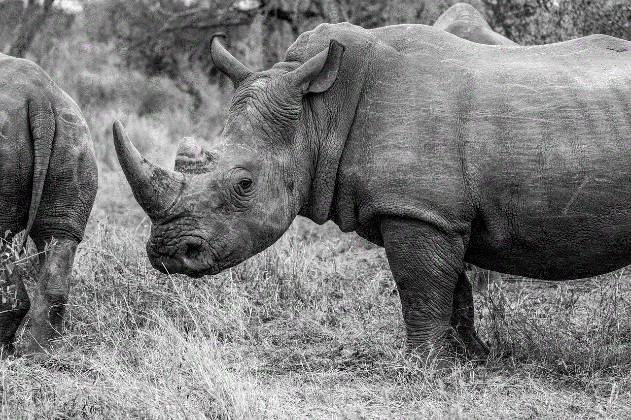 Animal Rhino Animal Rhino