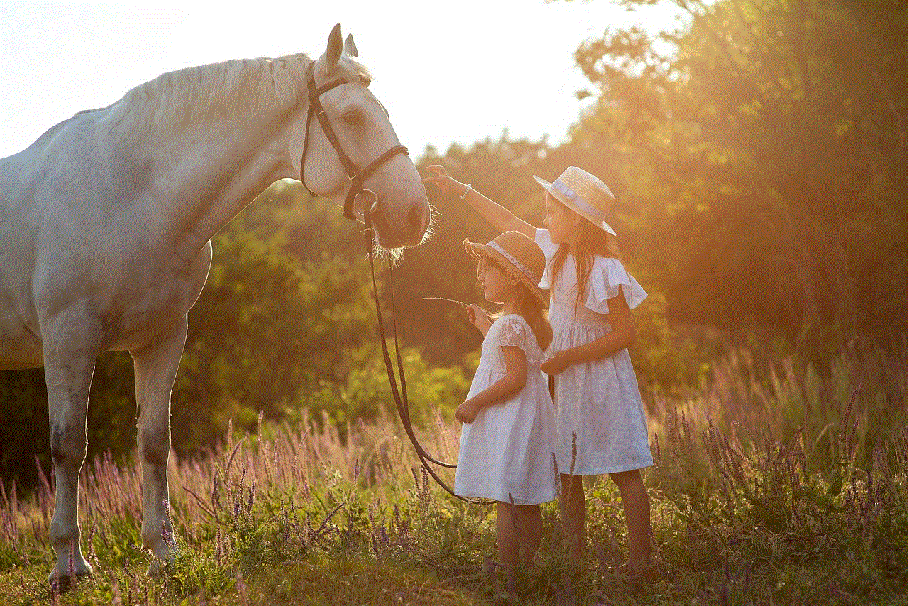 Sisters Horse