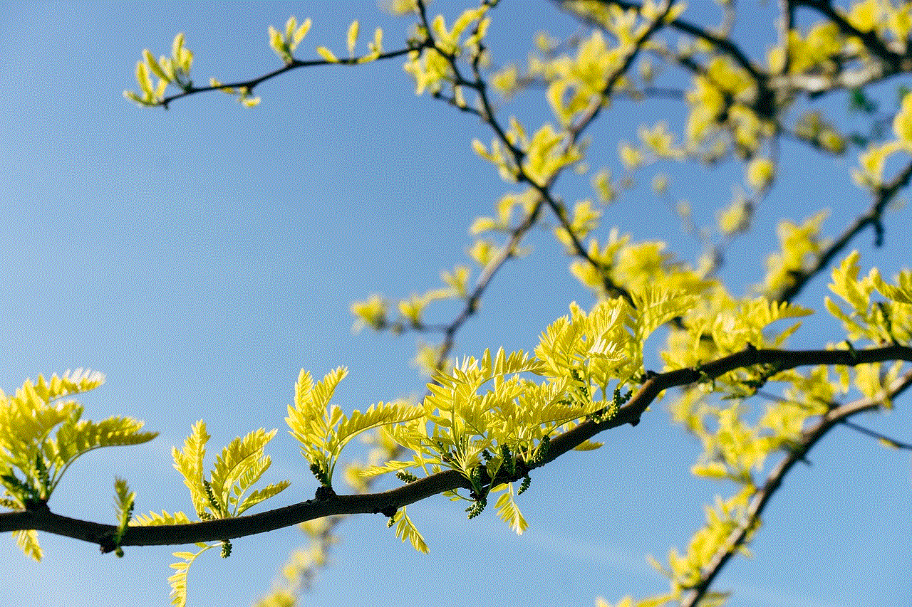 Yellow Leaves Tree