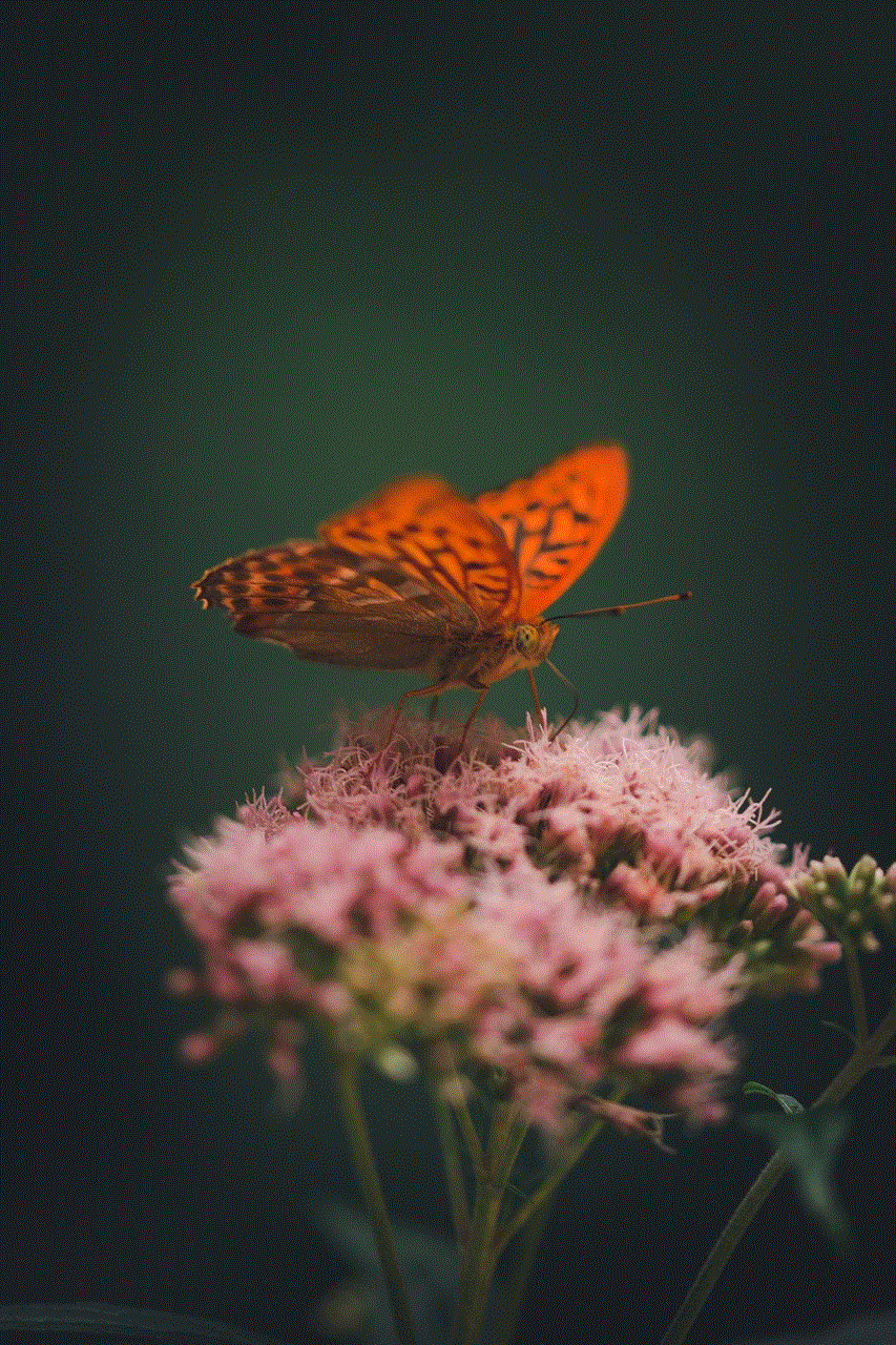 Spotted Rustic Butterfly