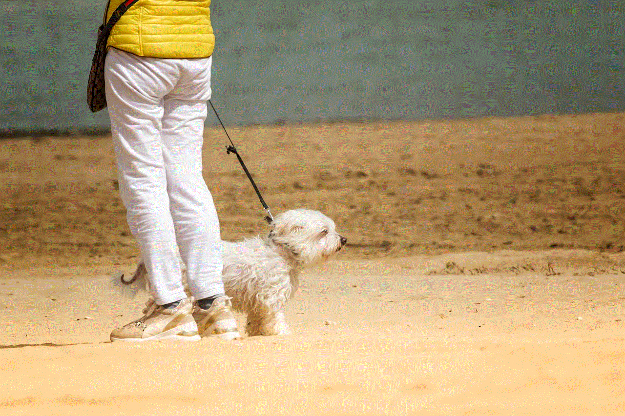 Dog Walk Dog Walk