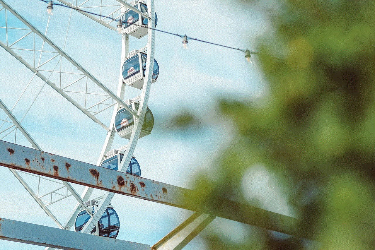 Ferris Wheel Amusement
