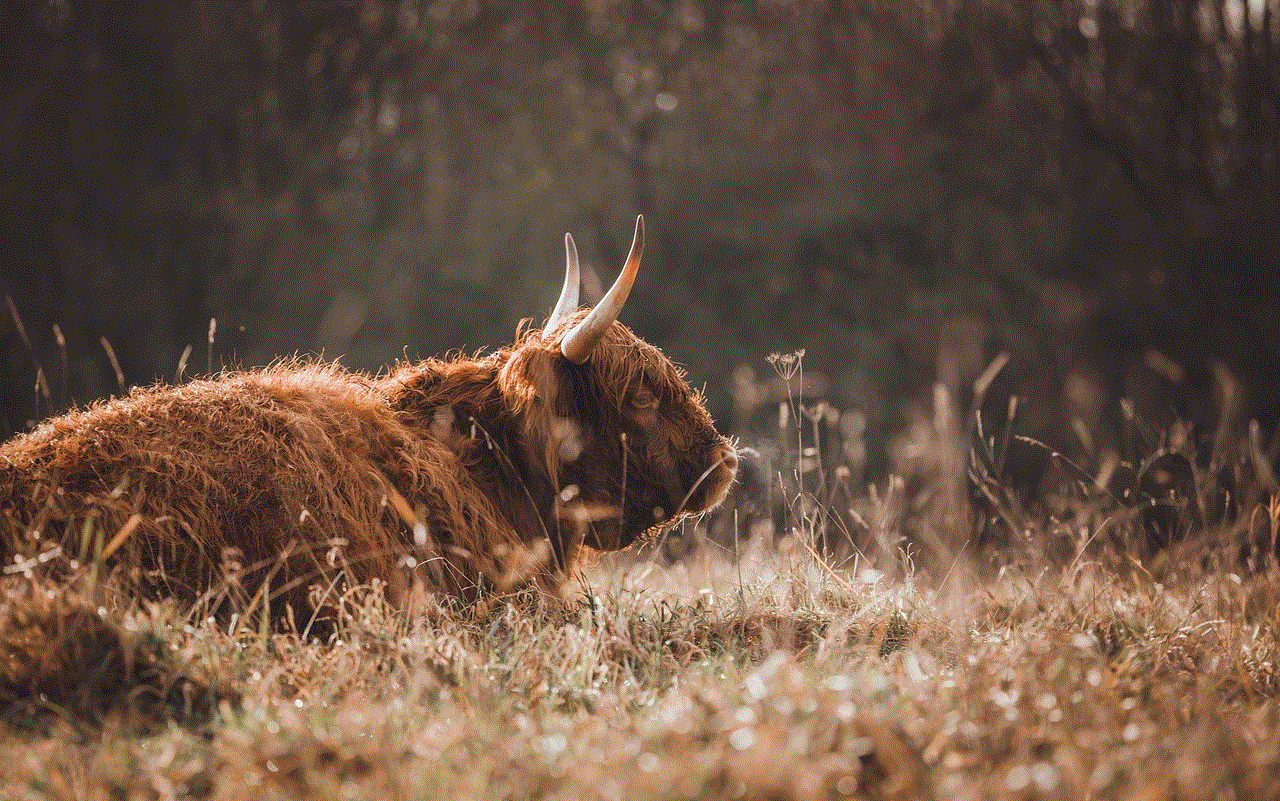 Animal Yak