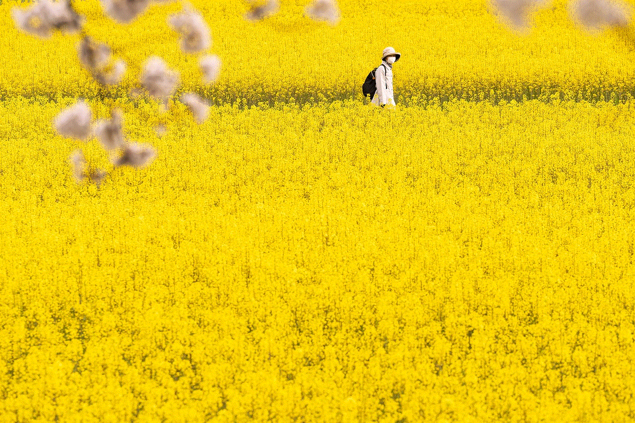 Landscape Rapeseed Field