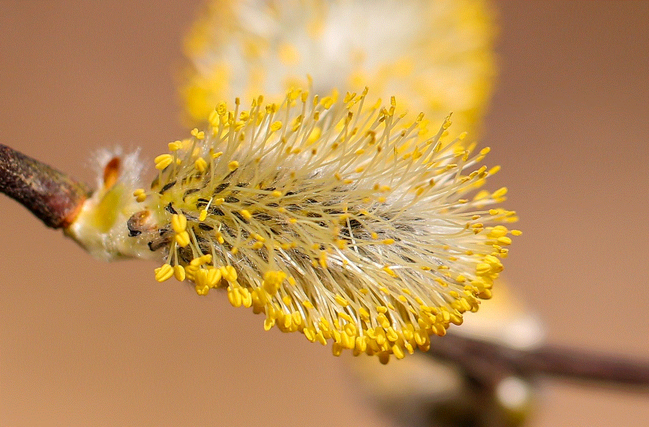 Salix Caprea Botany