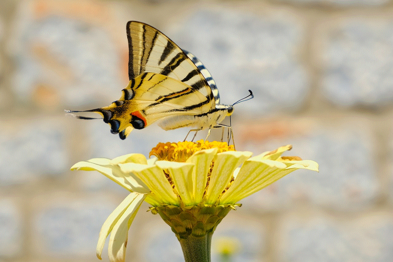 Butterfly Flower Background