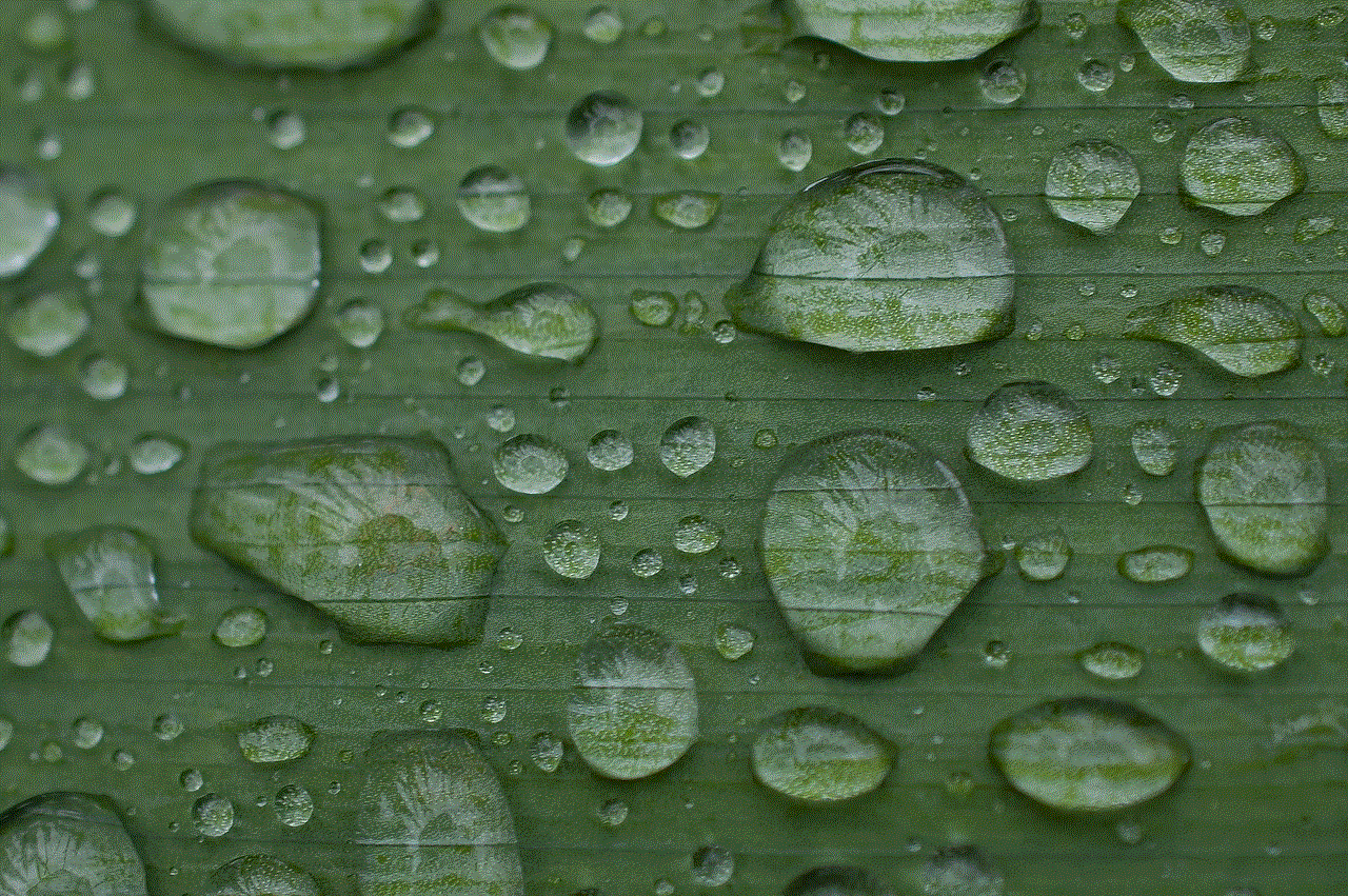 Leaf Rain Drops