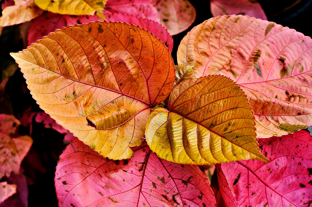 Leaves Red Leaves