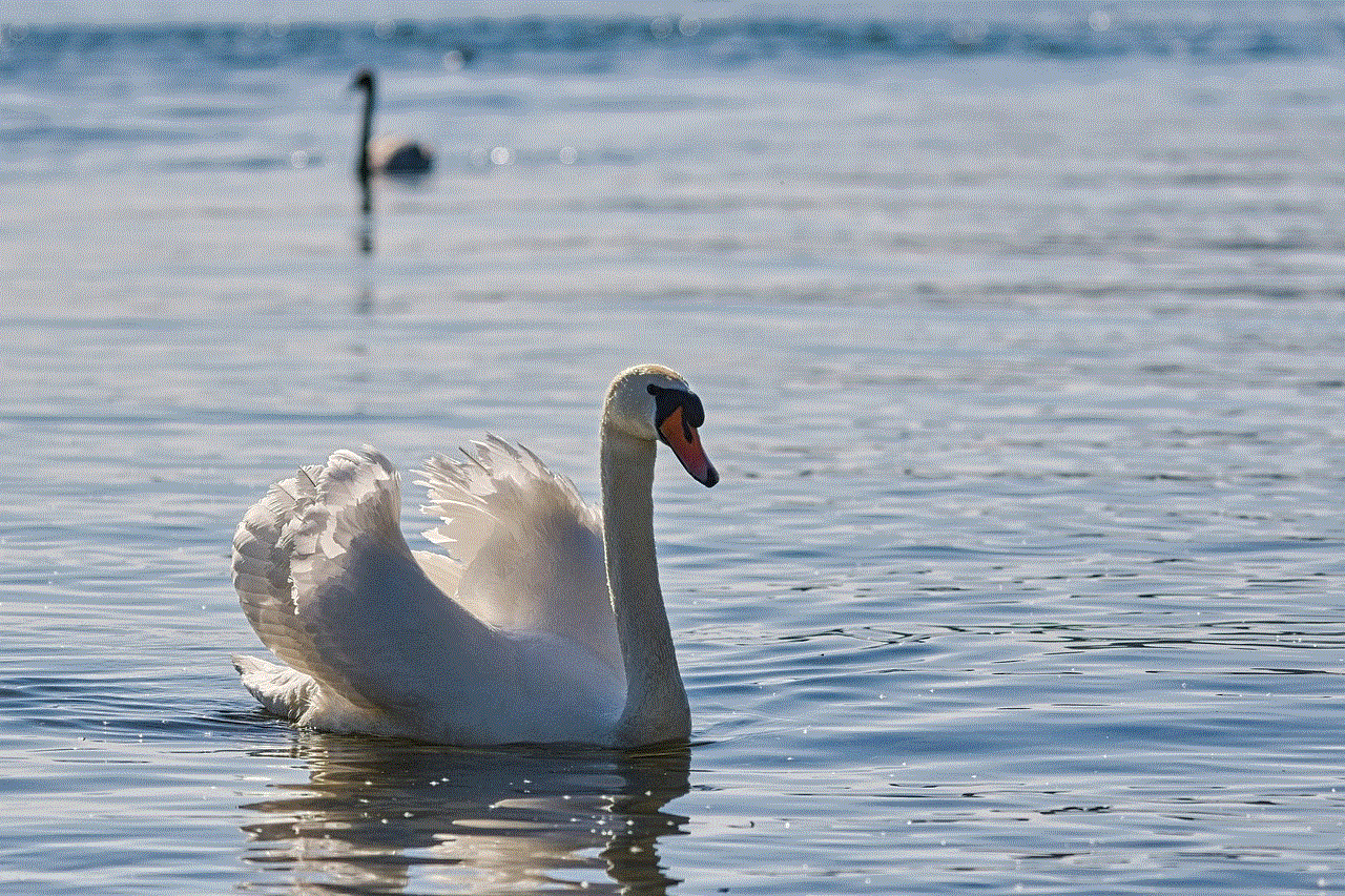 Mute Swan Lake