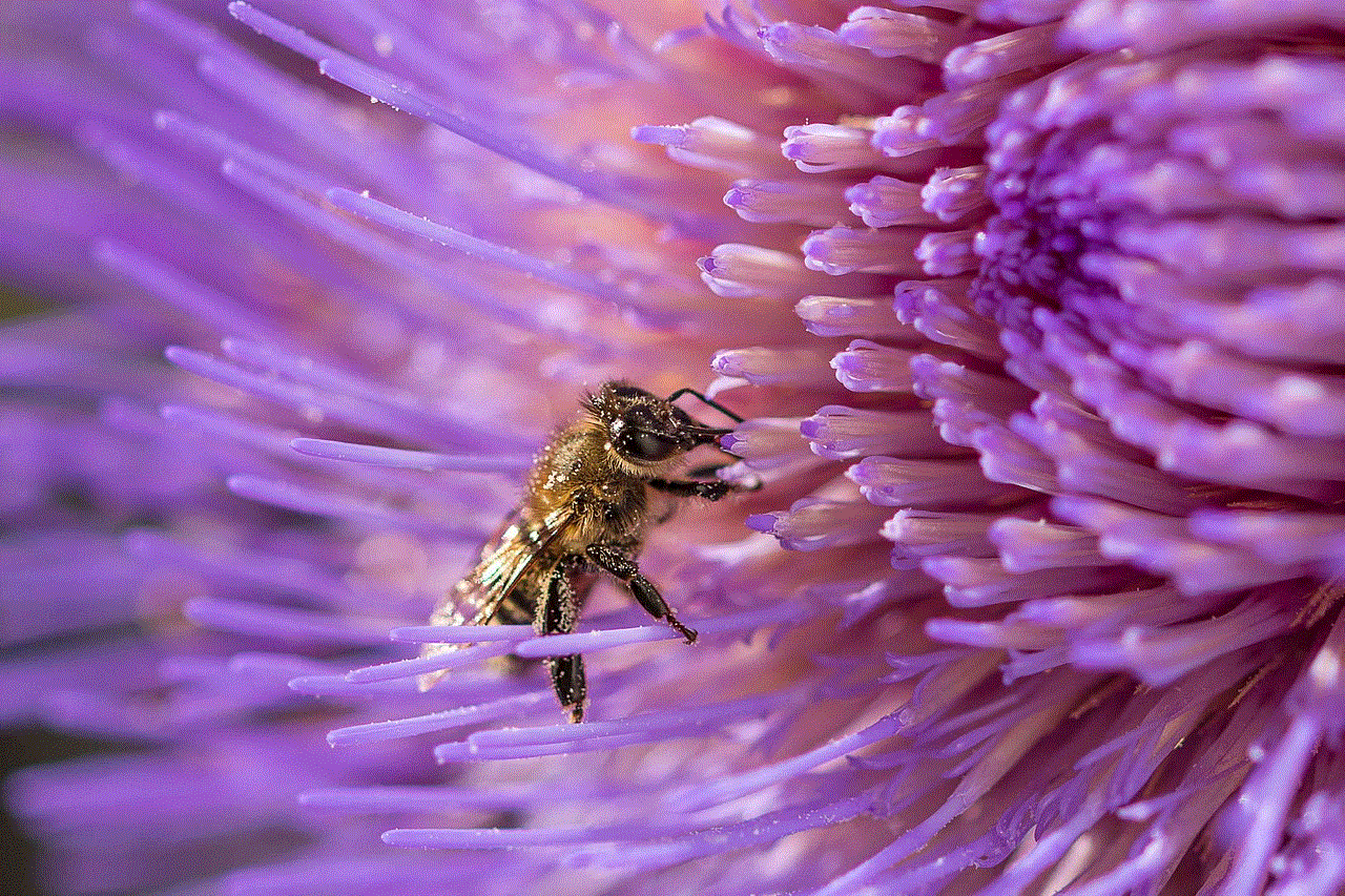 Bee Nature Bee Nature