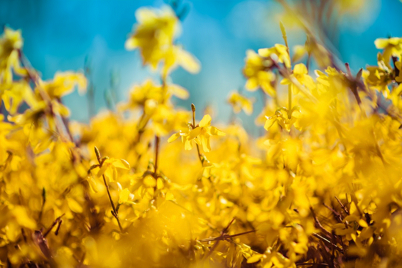 Flowers Yellow Flowers