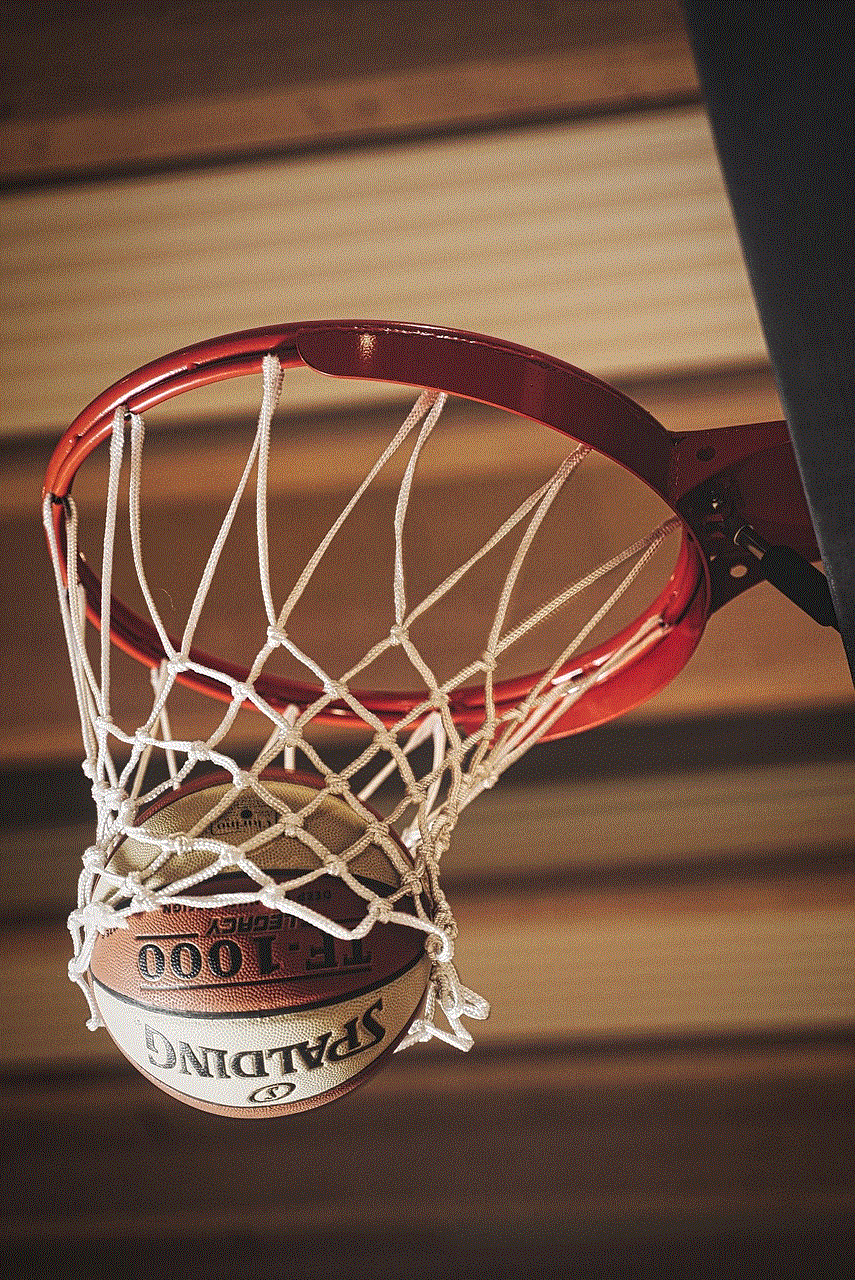 Basketball Basket