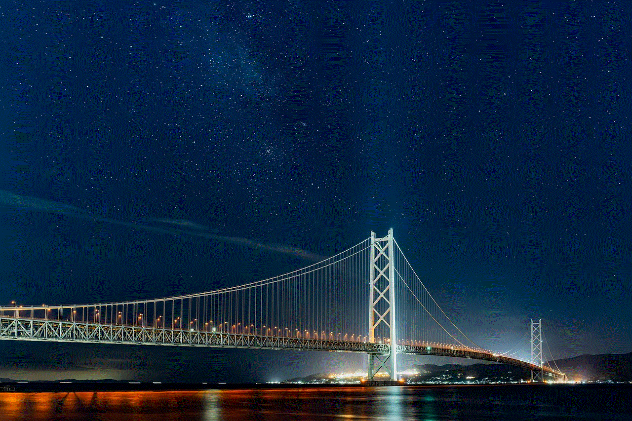 Bridge Night View