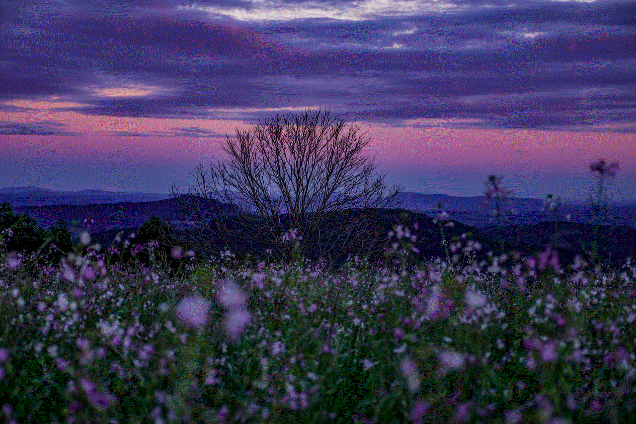 Grass Valley Grass Valley