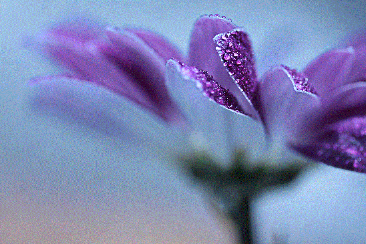 Purple Flower Flower