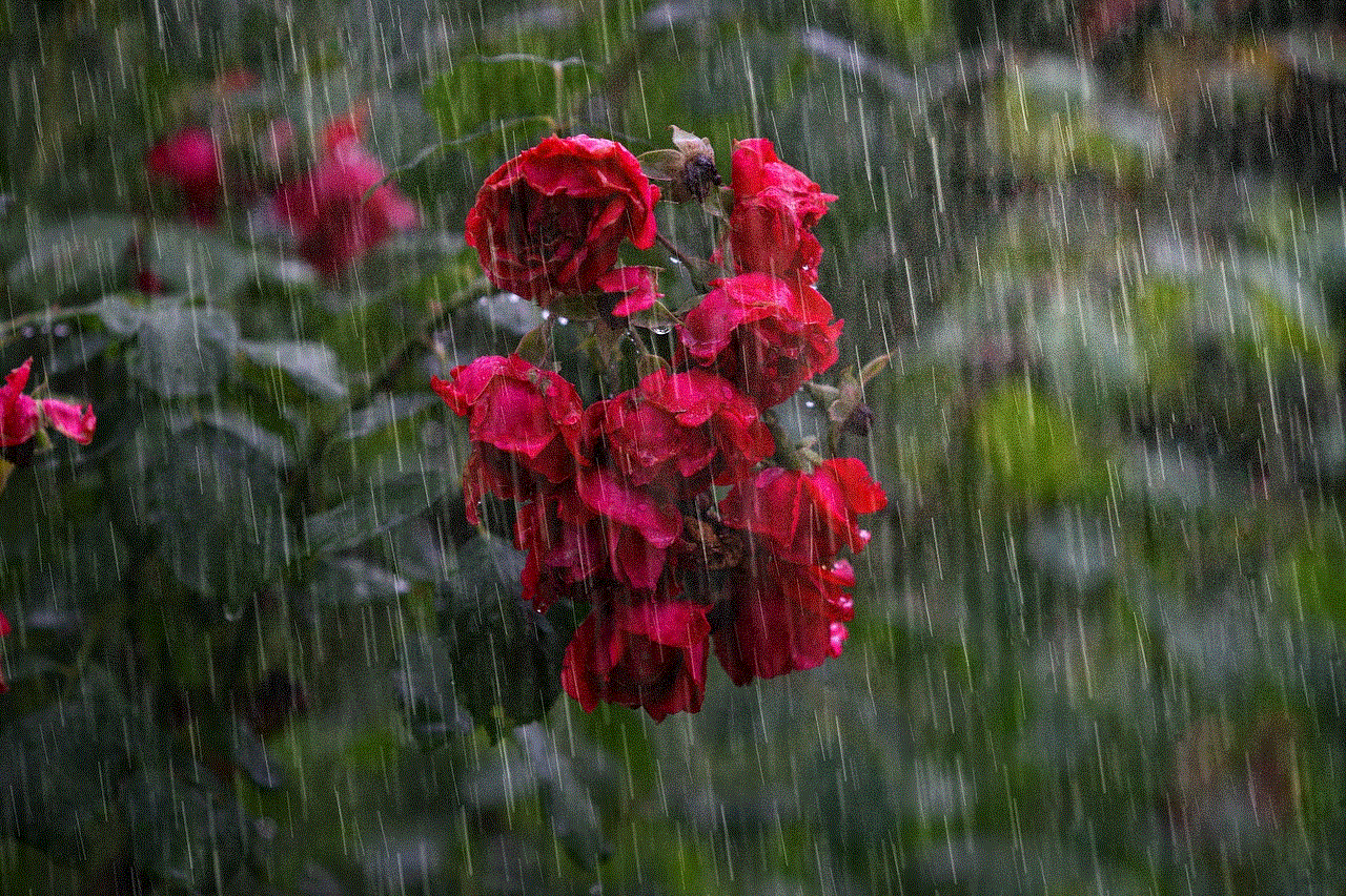 Heavy Rain Rose
