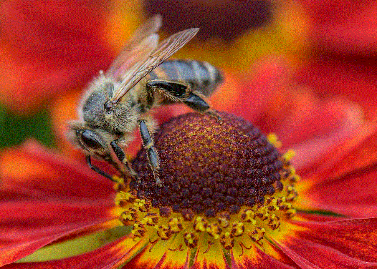 Flower Bee