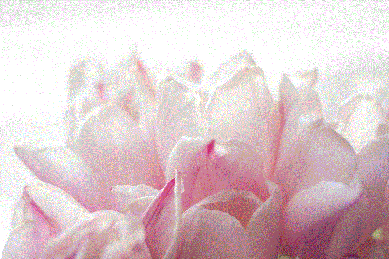 Flower Pink Flower Pink