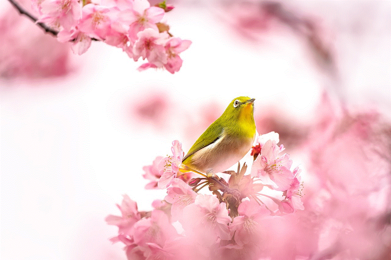 Bird Warbling White-Eye