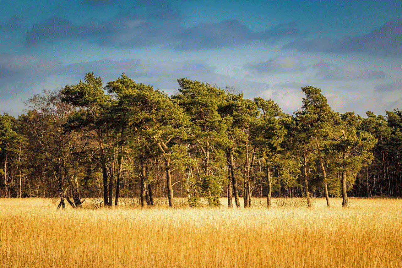 Forest Hd Wallpaper Forest Hd Wallpaper