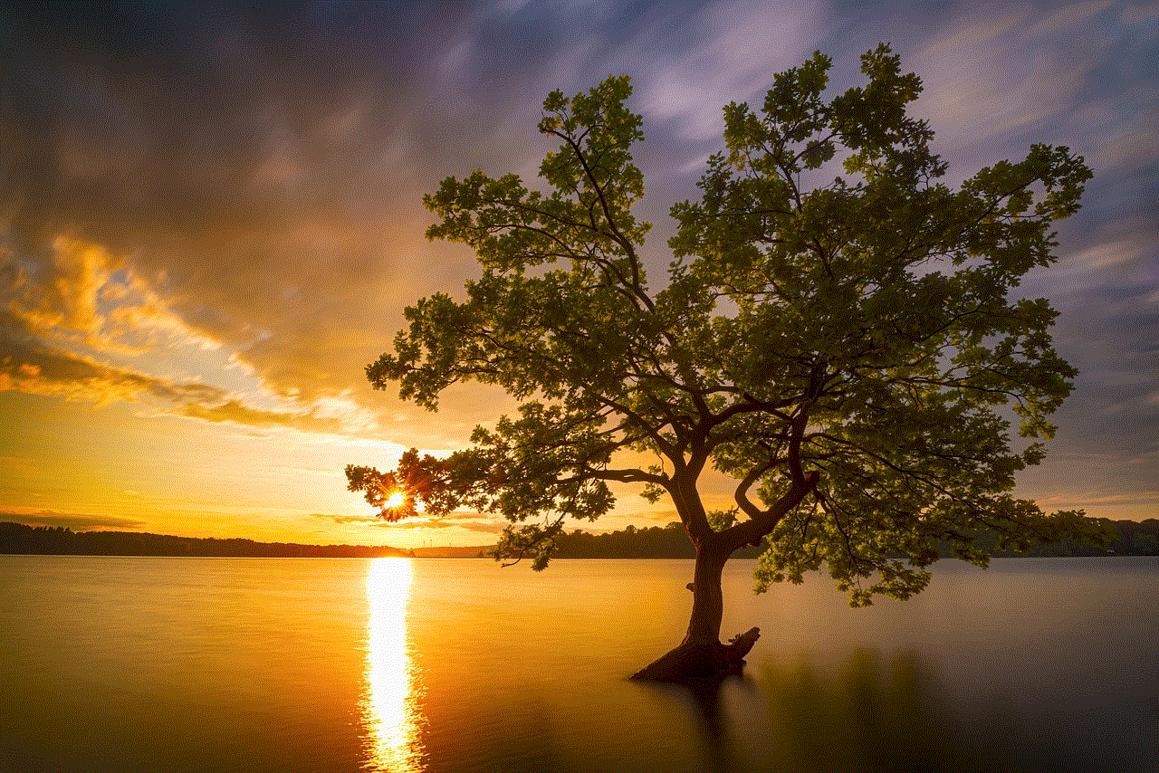Tree Water Tree Water