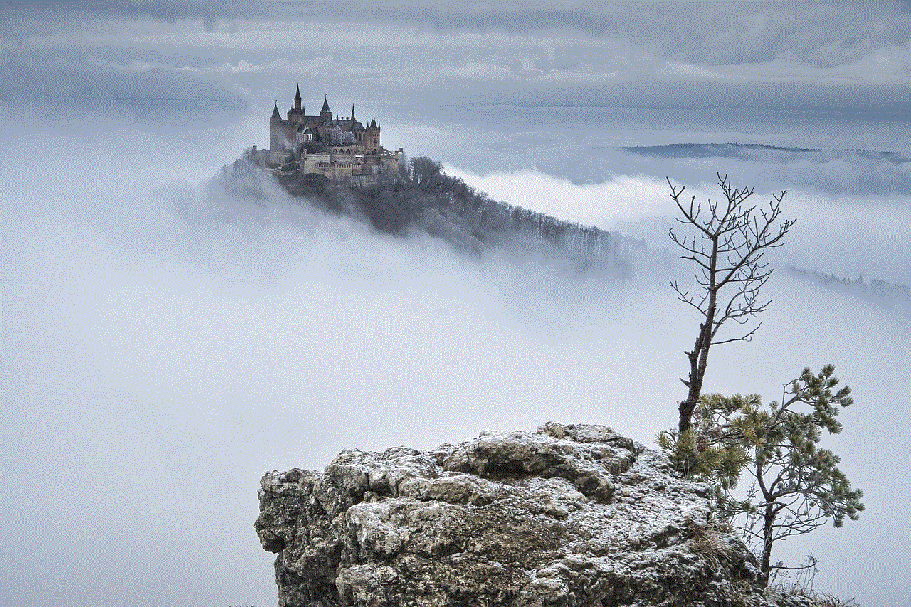 Castle Fog