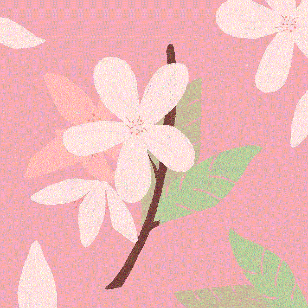 Flowers Branch