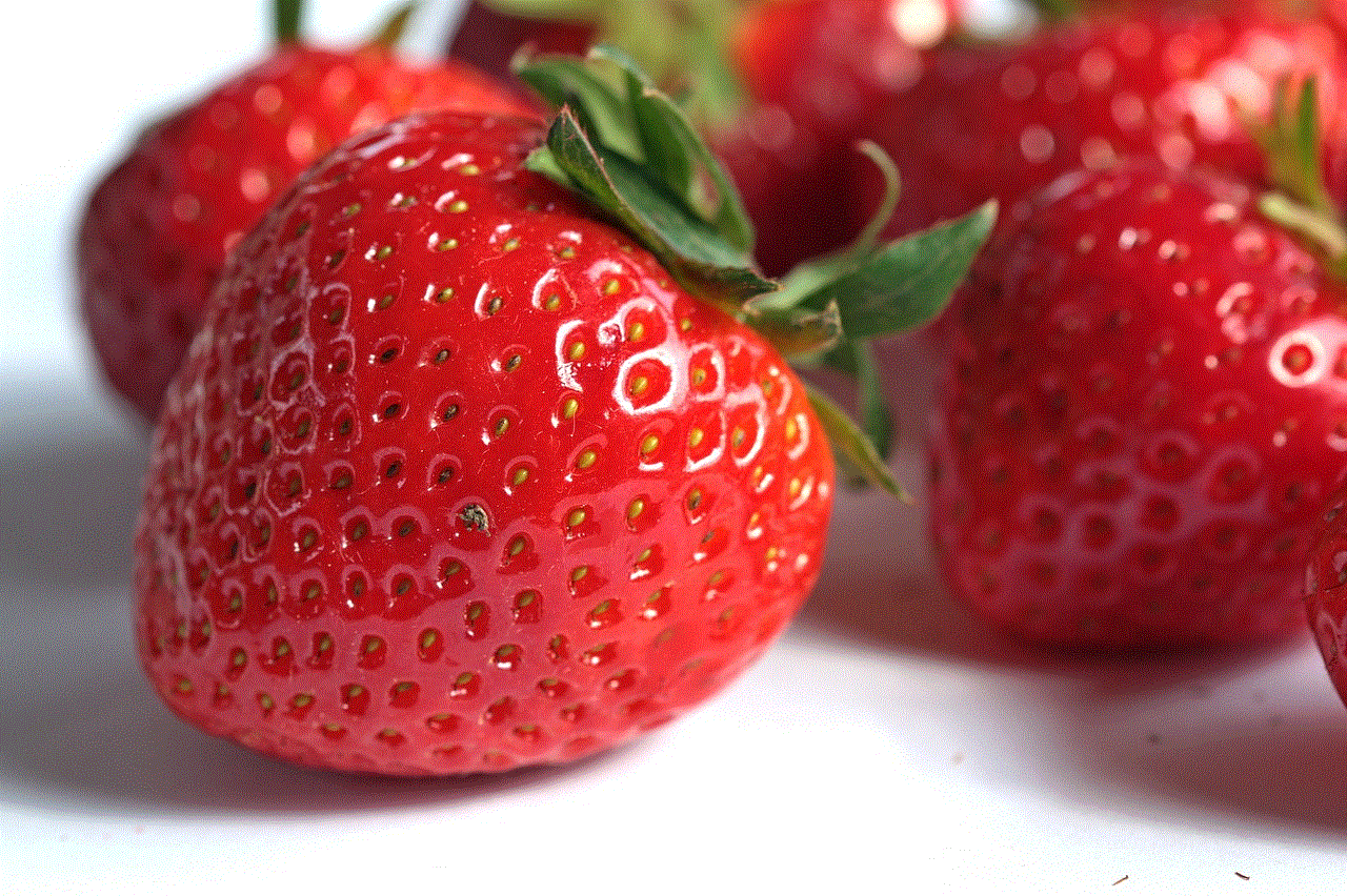 Strawberry Fruit