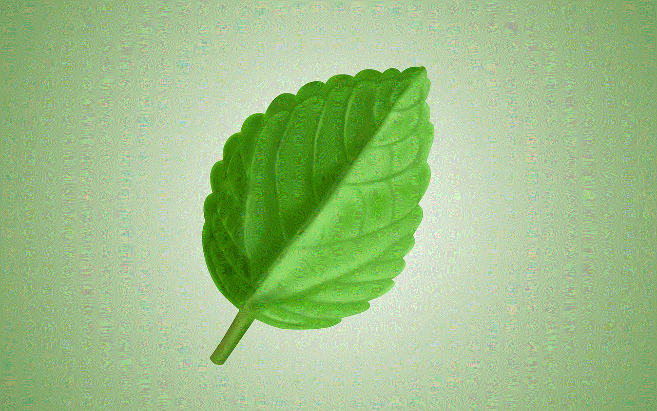 Leaf Plant